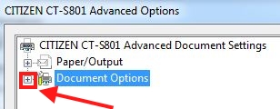 document_options.JPG